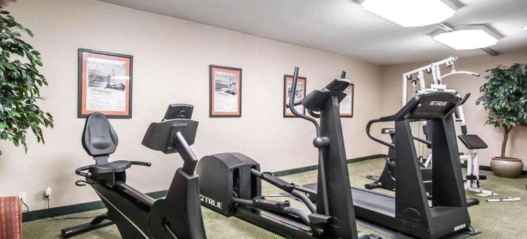 北部凯艺套房酒店(Quality Inn & Suites North)图片