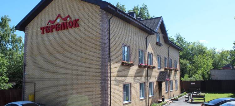 莫斯科夫斯基特里默克酒店(Teremok Moskovskij  Guest House)图片