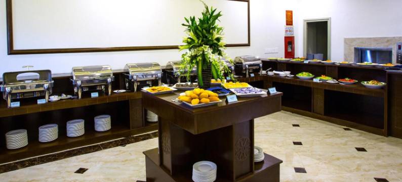 宋禄豪华酒店(Song Loc Luxury Hotel)图片