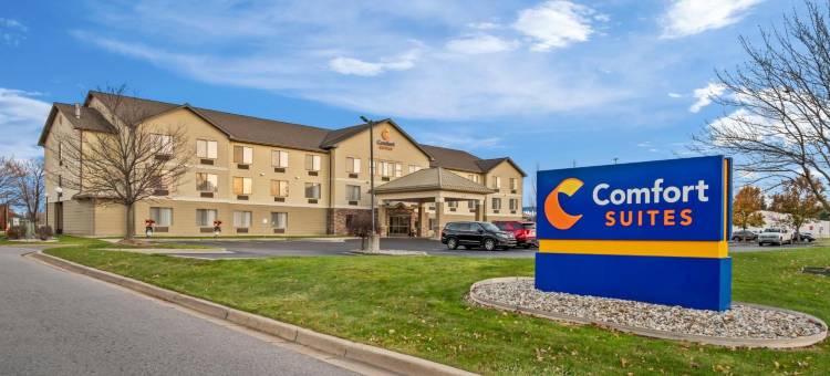 舒适套房酒店-格兰德维尔大激流城西南(Comfort Suites Grandville - Grand Rapids SW)图片