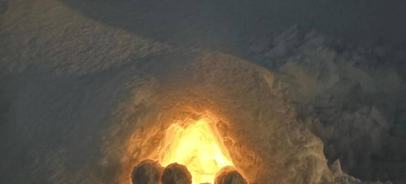 余市旅馆(Guest House Yoichi)图片