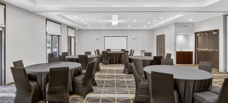 达拉斯艾迪生假日套房酒店(Holiday Inn & Suites DALLAS-ADDISON by IHG)图片