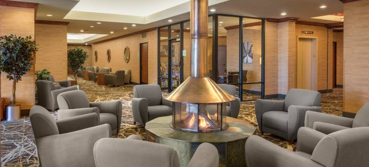 Holiday Inn 丹佛莱克伍德(Holiday Inn Denver Lakewood)图片