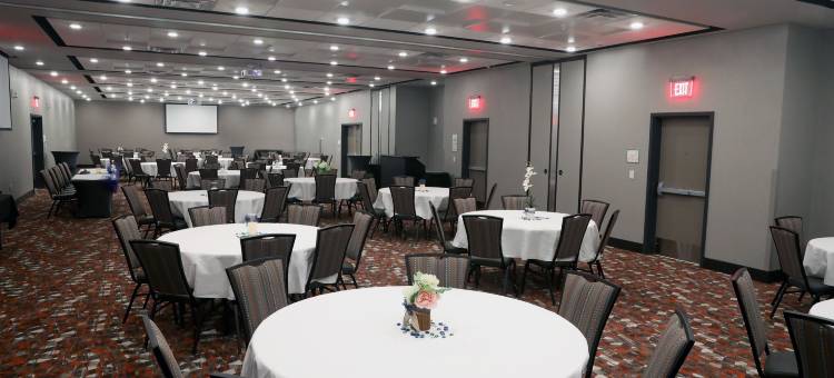 假日酒店及套房苏福尔斯-机场，洲际酒店集团酒店(Holiday Inn & Suites Sioux Falls - Airport)图片