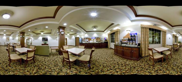 莱弗兰智选假日酒店(Holiday Inn Express & Suites Levelland)图片