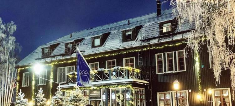 阿若格登酒店(Hotel Åregården)图片