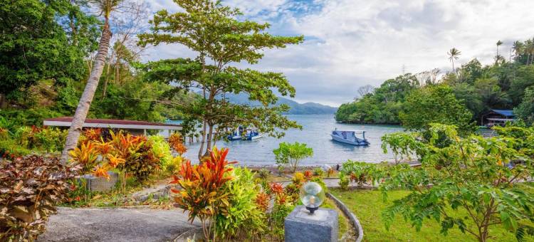塔拉萨雷姆贝潜水度假村(Thalassa Dive Resort Lembeh)图片