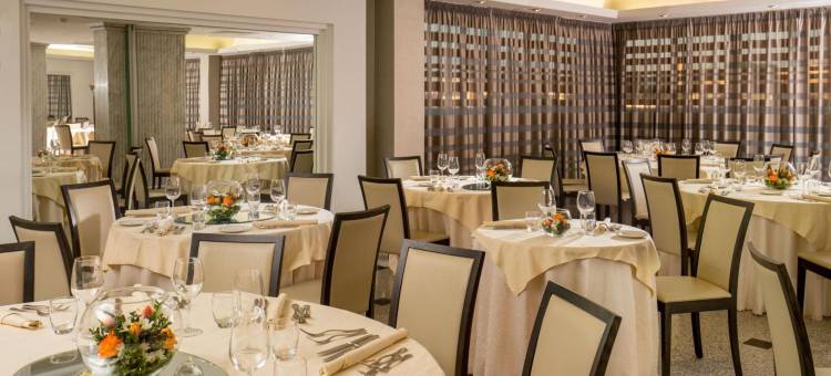 尼雅酒店(Enea Hotel Pomezia)图片