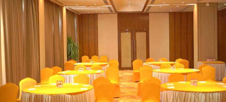 乌代布尔骄傲酒店(Pride Hotel Udaipur)图片