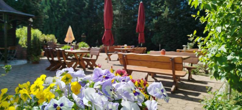 格鲁纳鲍姆餐厅酒店(Café Und Hotel Zum Grünen Baum)图片