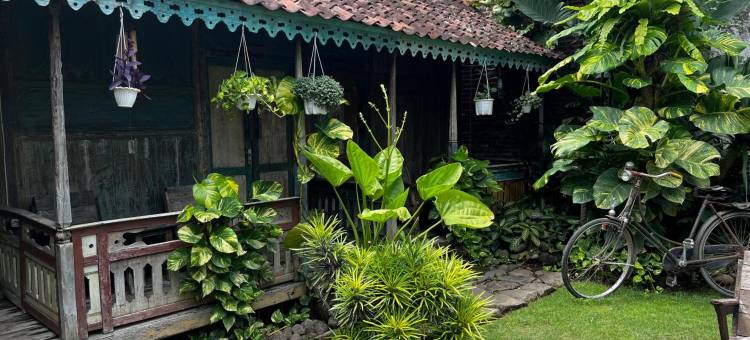 布罗莫BnB背包客快乐之家(Happy House Bnb Bromo Backpacker)图片