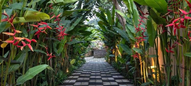 巴厘岛乌布绿林酒店(Ubud Green Resort Villas Powered by Archipelago)图片