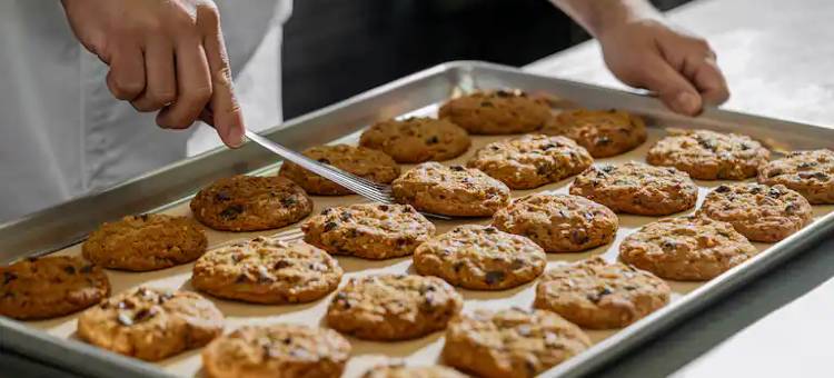 希尔顿逸林酒店 格林维尔机场(Doubletree by Hilton Greenville Airport)图片