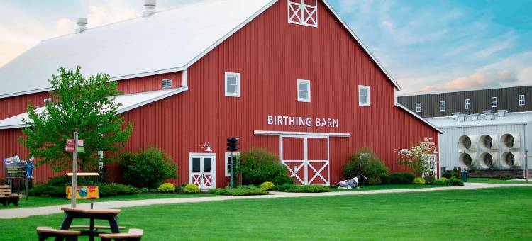 Fairfield Inn & Suites Fair Oaks Farms图片