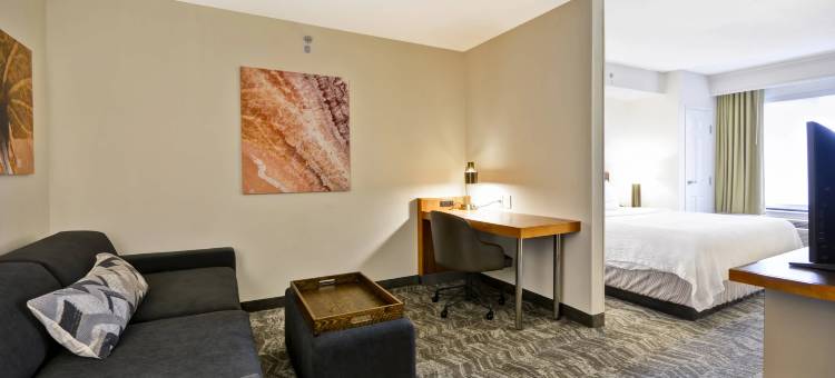 列克星敦万豪 SpringHill Suites 酒店 - 近肯塔基大学(SpringHill Suites Lexington Near the University of Kentucky)图片