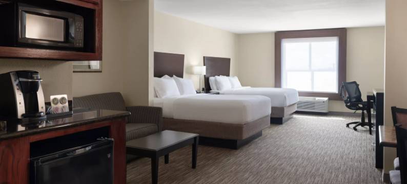 智选假日套房酒店斯奈德(Holiday Inn Express & Suites SNYDER by IHG)图片