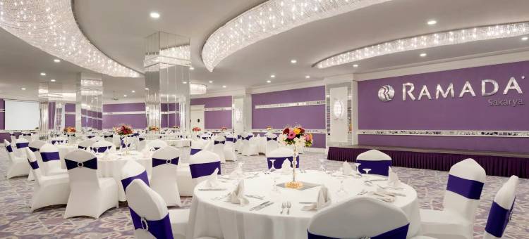 萨卡里亚温德姆华美达酒店(Ramada by Wyndham Sakarya)图片