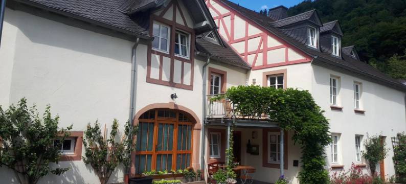 公寓式酒店(Landhaus Gräfendhron)图片