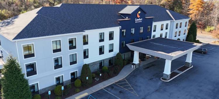 舒适套房酒店(Comfort Inn & Suites)图片