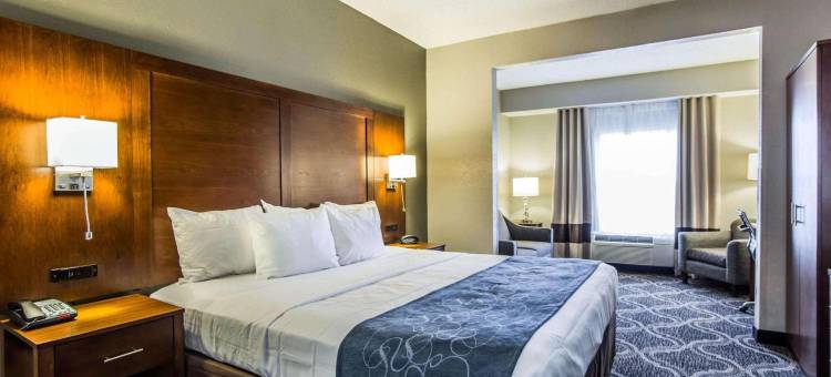 派恩维尔巴兰坦区舒适套房酒店(Comfort Suites Pineville - Ballantyne Area)图片