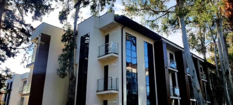 Vidnyi公寓酒店(Apartments Vidny)图片