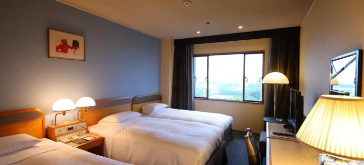 佐贺新大谷酒店(Hotel New Otani Saga)图片