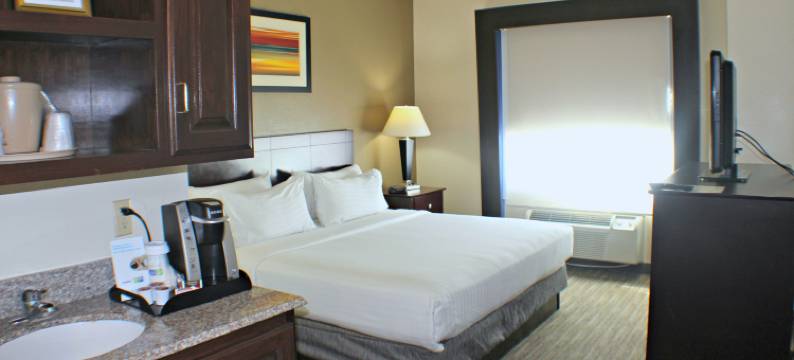 智选假日套房酒店纽约普莱恩维尤by IHG(Holiday Inn Express & Suites PLAINVIEW by IHG)图片