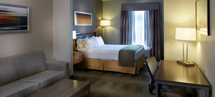 智选假日套房酒店奥兰治(Holiday Inn Express & Suites Orangeburg)图片
