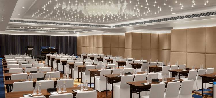 昌迪格17 区凯悦尚萃酒店(Hyatt Centric Sector 17 Chandigarh)图片