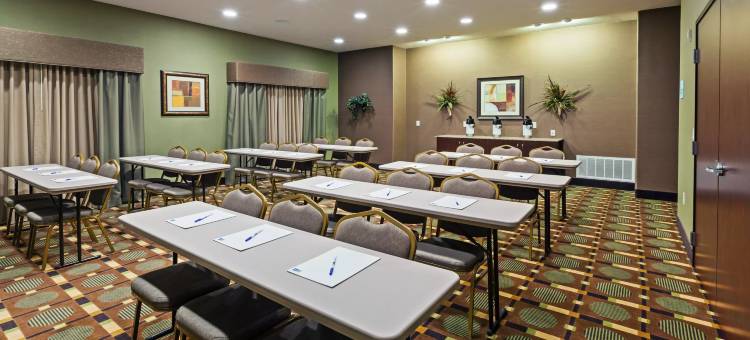 智选假日套房酒店布雷迪 by IHG(Holiday Inn Express & Suites Brady by IHG)图片
