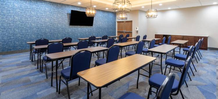 达拉斯拉昆塔温德姆酒店套房-弗赖拉辛体育场(La Quinta Inn & Suites by Wyndham Dallas - Frisco Stadium)图片