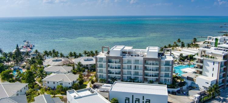 阿莱亚伯利兹傲途格精选酒店(Alaia Belize, Autograph Collection)图片