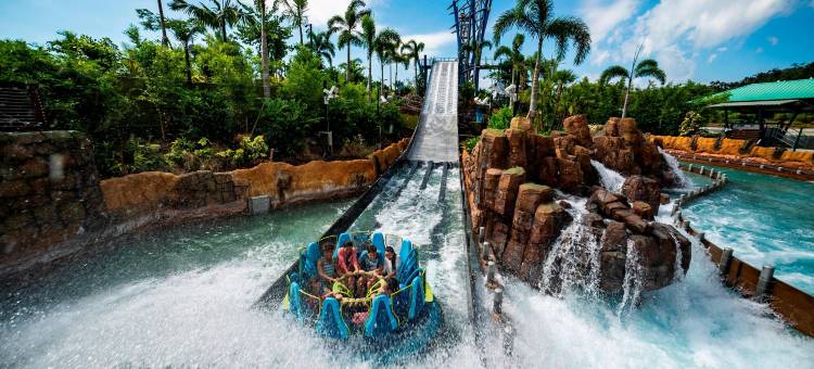 奥兰多国际大道万怡酒店/会议中心(Courtyard Orlando International Drive/Convention Center)图片