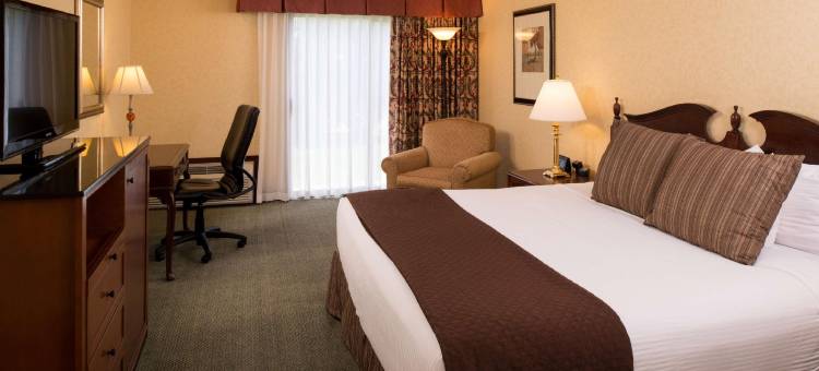 Spark by Hilton 西雅图机场(Spark by Hilton Seattle Airport)图片