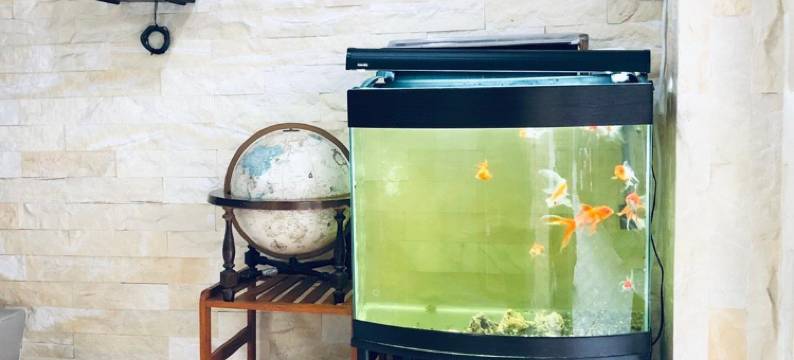 台南来七桃旅店图片