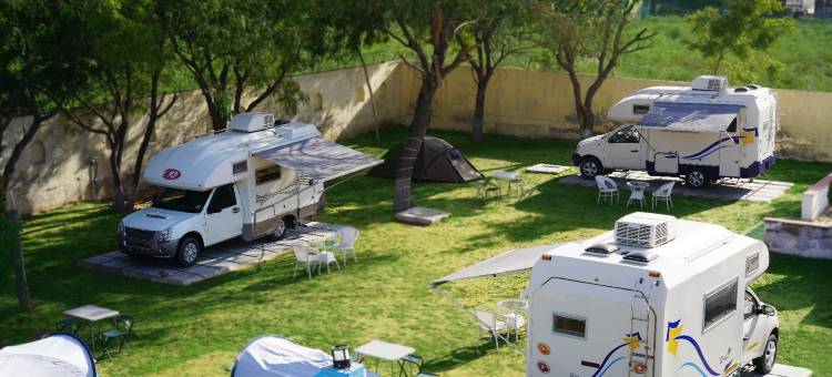 尼拉纳树屋日出度假村(TreeHouse Sunrise Resort & Caravan Park Neemrana)图片