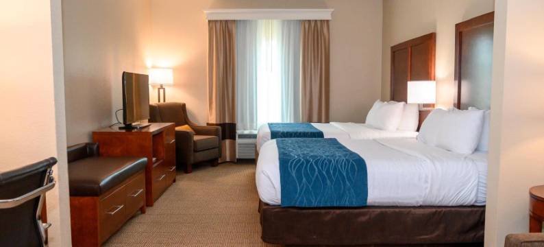 帕特里奥茨波因特舒适套房酒店(Comfort Inn & Suites Patriots Point)图片