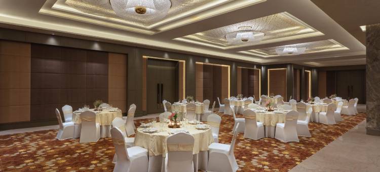 齐普尔阿梅尔希尔顿逸林酒店(DoubleTree by Hilton Jaipur Amer)图片