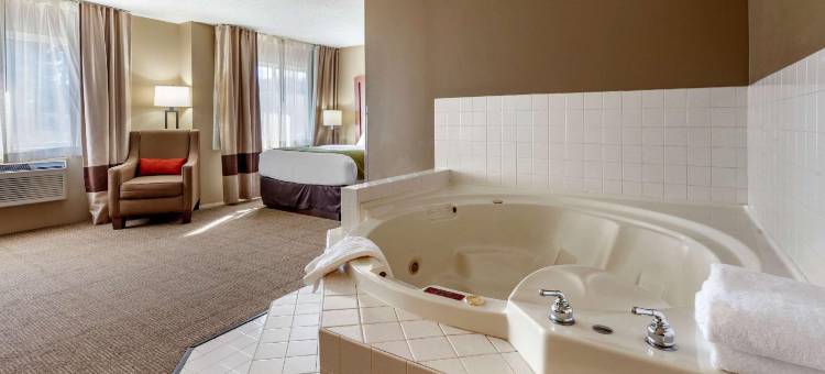 舒适酒店(Comfort Inn)图片