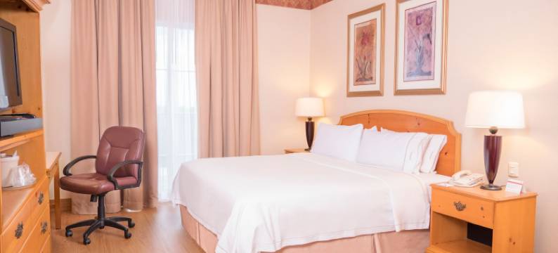 巴希奥希劳机场智选假日酒店(Holiday Inn Express SILAO-AEROPUERTO BAJIO by IHG)图片