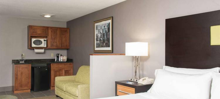 智选假日套房酒店丹维尔(Holiday Inn Express & Suites Danville)图片