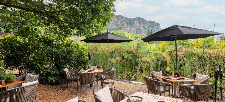 艾莫莫克特里酒店(Amomoxtli)图片