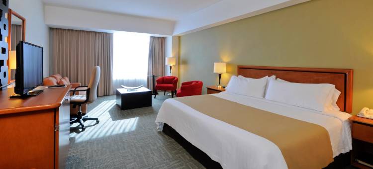 伊拉普阿托假日酒店(Holiday Inn Irapuato)图片