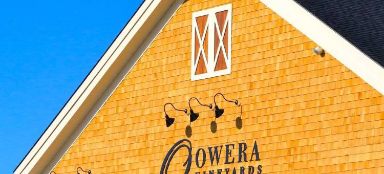 锡拉丘兹卡里尔环岛万豪SpringHill酒店(SpringHill Suites Syracuse Carrier Circle)图片