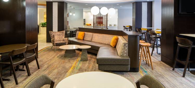 奥兰多会议中心／国际大道区万豪SpringHill酒店(SpringHill Suites Orlando Convention Center/International Drive Area)图片