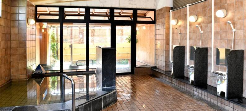 新指挥官酒店-大阪寝屋川(New Commander Hotel Osaka Neyagawa)图片