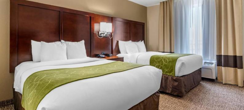 舒适套房酒店-弗恩利(Comfort Suites Fernley)图片