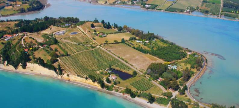 温德豪沃尔套房酒店(Windhover Suites)图片