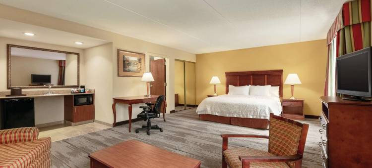 希尔顿欢朋套房酒店-威廉斯堡历史街区(Hampton Inn & Suites Williamsburg Historic District)图片