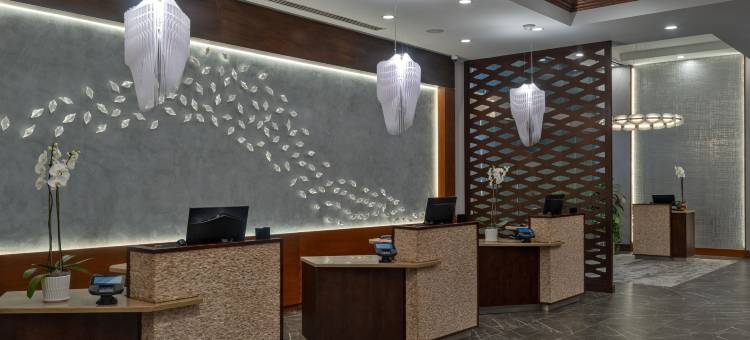 威斯汀休斯顿市中心酒店(The Westin Houston Downtown)图片